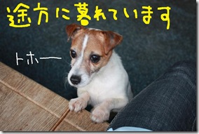 今日カズ０９０３２７　８