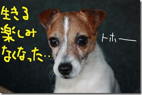 今日カズ０９０３２７　９