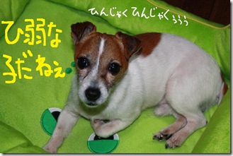 今日カズ０９０３２８　１