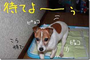 今日カズ０９０３２９　１