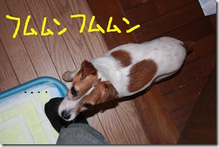 今日カズ０９０３２９　２