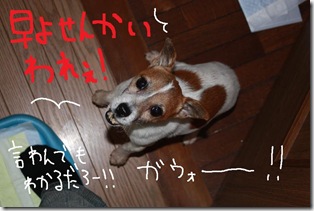 今日カズ０９０３２９　３