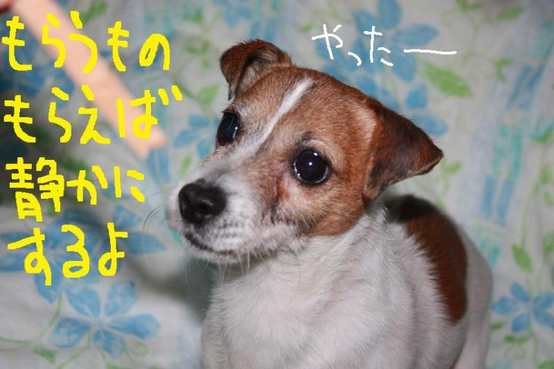 今日カズ０９０４０４　２