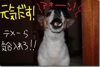 今日カズ０９０６０３　２
