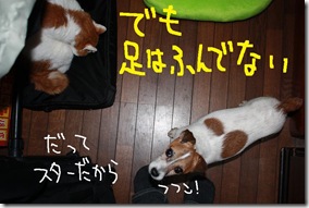 今日カズ０９０６０３　４
