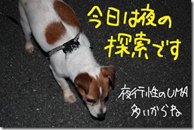 今日カズ０９０６０４　１