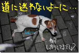 今日カズ０９０６０４　２