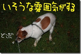 今日カズ０９０６０４　３