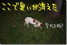 今日カズ０９０６０４　５
