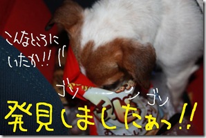 今日カズ０９０６０４　６