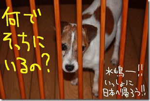 今日カズ０９０６０６　２