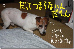 今日カズ０９０６０６　４
