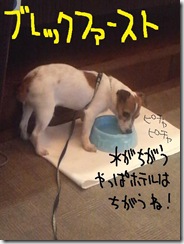 今日カズ０９０６０８　１