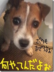 今日カズ０９０６０８　２