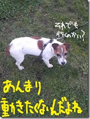 今日カズ０９０６０８　６