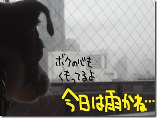 今日カズ０９０６０８　３