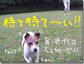 今日カズ０９０６０８　７