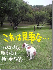 今日カズ０９０６０８　８