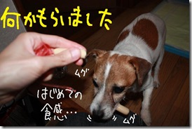 今日カズ０９０６０９　３