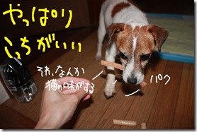今日カズ０９０６０９　４