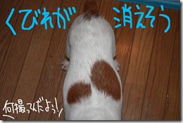 今日カズ０９０６１０　２