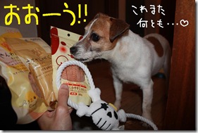 今日カズ０９０６１０　４