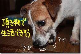 今日カズ０９０６１０　７