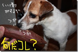 今日カズ０９０６１１　２