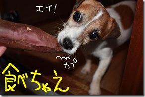 今日カズ０９０６１１　３