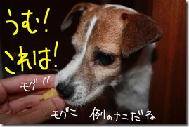 今日カズ０９０６１１　４