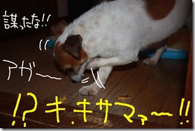 今日カズ０９０６１１　５