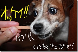 今日カズ０９０６１１　７