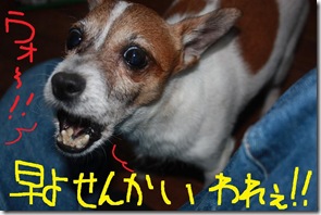 今日カズ０９０６１２　１