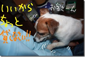 今日カズ０９０６１２　２