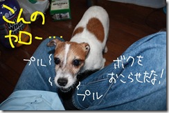今日カズ０９０６１２　３