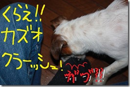 今日カズ０９０６１２　４