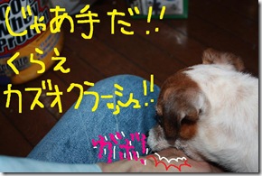今日カズ０９０６１２　５