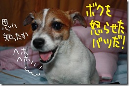 今日カズ０９０６１２　６