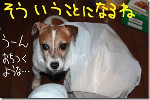 今日カズ０９０６１２　８