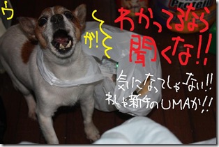 今日カズ０９０６１２　９