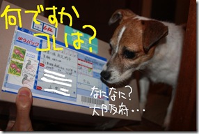 今日カズ０９０６１２　１０