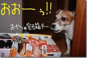 今日カズ０９０６１２　１１