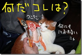 今日カズ０９０６１２　１２