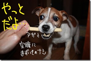 今日カズ０９０６１３　４
