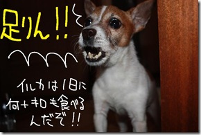 今日カズ０９０６１３　７