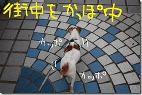 今日カズ０９０６１４　１