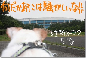 今日カズ０９０６１４　２