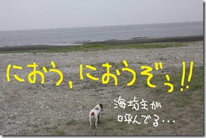 今日カズ０９０６１４　３