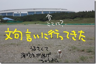 今日カズ０９０６１４　５