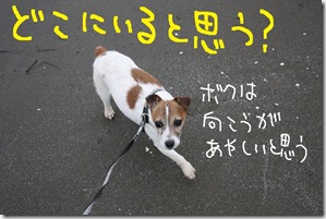 今日カズ０９０６１４　６